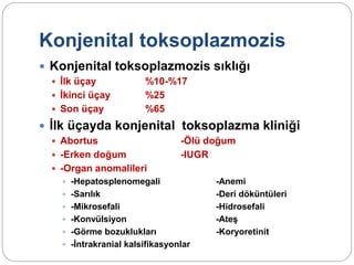 Konjenital toksoplazmozis
 Konjenital toksoplazmozis sıklığı
 İlk üçay %10-%17
 İkinci üçay %25
 Son üçay %65
 İlk üçayda konjenital toksoplazma kliniği
 Abortus -Ölü doğum
 -Erken doğum -IUGR
 -Organ anomalileri
 -Hepatosplenomegali -Anemi
 -Sarılık -Deri döküntüleri
 -Mikrosefali -Hidrosefali
 -Konvülsiyon -Ateş
 -Görme bozuklukları -Koryoretinit
 -İntrakranial kalsifikasyonlar
 