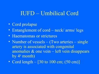 IUFD – Umbilical Cord
• Cord prolapse
• Entanglement of cord – neck/ arms/ legs
• Haematomas or strictures
• Number of vessels – (Two arteries – single
artery is associated with congenital
anomalies & one vein – left vein disappears
by 4th
month)
• Cord length – [30 to 100 cm; (50 cm)]
 