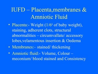 IUFD – Placenta,membranes &
Amniotic Fluid
• Placenta:- Weight (1/6th
of baby weight),
staining, adherent clots, structural
abnormalities – circumvallate/ accessory
lobes,velamentous insertion & Oedema
• Membranes:– stained/ thickening
• Amniotic fluid:- Volume, Colour –
meconium/ blood stained and Consistency
 