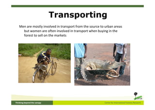 Transporting
Men are mostly involved in transport from the source to urban areas
  but women are often involved in transpo...