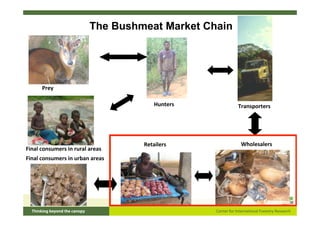 LA FILIÈRE VIANDE DE BROUSSE
                      The Bushmeat Market Chain




      Prey

                             ...