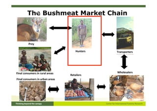 LA
        The Bushmeat Market Chain



         Prey

                                     Hunters   Transporters




Fin...