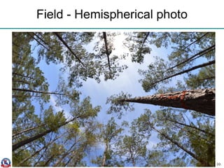 Field - Hemispherical photo
10
 