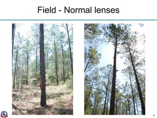 Field - Normal lenses
8
 