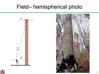 Field– hemispherical photo
9
 