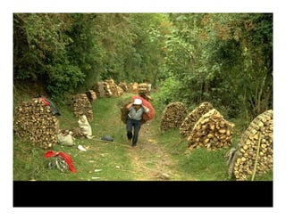 Landscape Approaches to Future Forest and Tree Resources Management