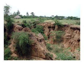 Landscape Approaches to Future Forest and Tree Resources Management