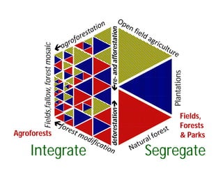 Landscape Approaches to Future Forest and Tree Resources Management