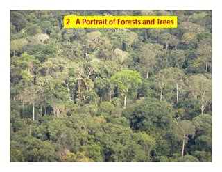 Landscape Approaches to Future Forest and Tree Resources Management