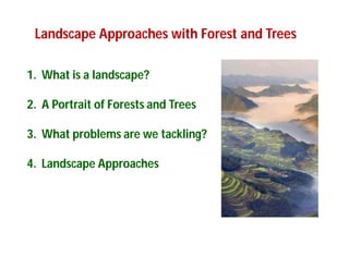 Landscape Approaches to Future Forest and Tree Resources Management