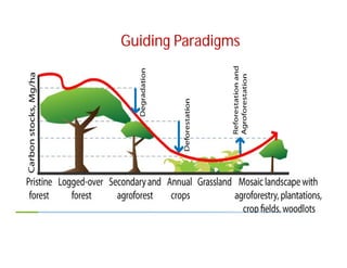 Landscape Approaches to Future Forest and Tree Resources Management