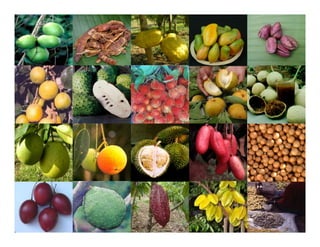 Landscape Approaches to Future Forest and Tree Resources Management