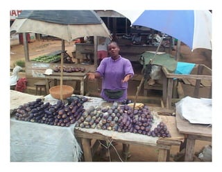 Landscape Approaches to Future Forest and Tree Resources Management