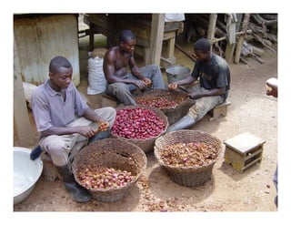 Landscape Approaches to Future Forest and Tree Resources Management
