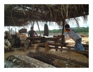 Landscape Approaches to Future Forest and Tree Resources Management