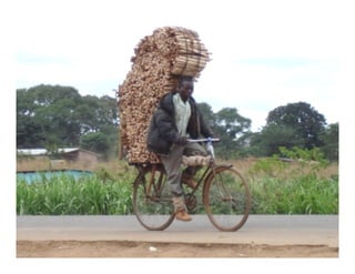 Landscape Approaches to Future Forest and Tree Resources Management