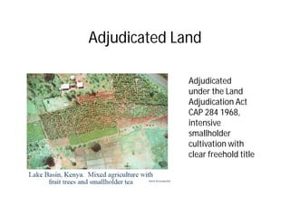 Landscape Approaches to Future Forest and Tree Resources Management