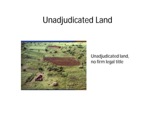 Landscape Approaches to Future Forest and Tree Resources Management