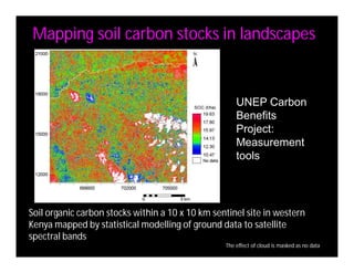 Landscape Approaches to Future Forest and Tree Resources Management