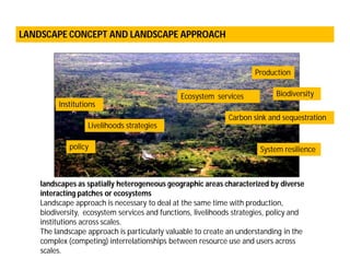 Landscape Approaches to Future Forest and Tree Resources Management