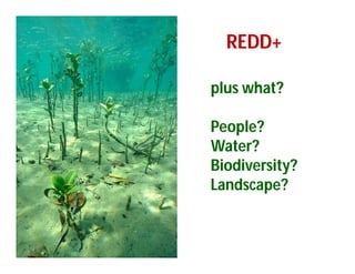 Landscape Approaches to Future Forest and Tree Resources Management