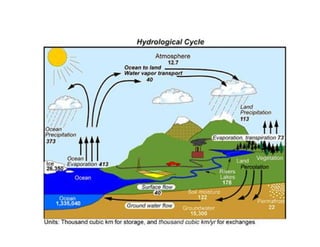 Landscape Approaches to Future Forest and Tree Resources Management