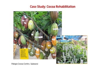 Landscape Approaches to Future Forest and Tree Resources Management