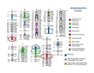 Landscape Approaches to Future Forest and Tree Resources Management