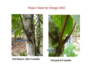 Landscape Approaches to Future Forest and Tree Resources Management