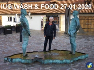 IUG WASH & FOOD 27.01.2020
 