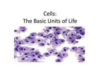 Cells:
The Basic Units of Life
 