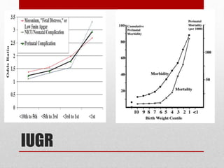 IUGR
 