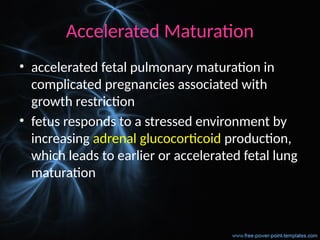 Accelerated Maturation
• accelerated fetal pulmonary maturation in
complicated pregnancies associated with
growth restriction
• fetus responds to a stressed environment by
increasing adrenal glucocorticoid production,
which leads to earlier or accelerated fetal lung
maturation
 