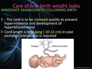Care of low birth weight baby
IMMEDIATE MANAGEMENT FOLLOWING BIRTH
‡ - The cord is to be clamped quickly to prevent
hypervolaemia and development of
hyperbilirubinemia
‡ Cord length is kept long ( 10-12 cm) in case
exchange transfusion is required
 