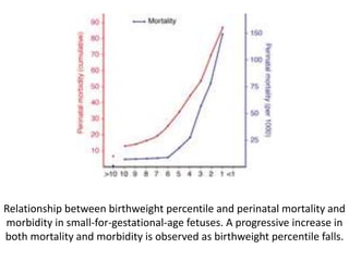 Relationship between birthweight percentile and perinatal mortality and
morbidity in small-for-gestational-age fetuses. A progressive increase in
both mortality and morbidity is observed as birthweight percentile falls.
 