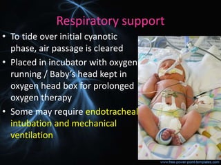 Respiratory support
• To tide over initial cyanotic
phase, air passage is cleared
• Placed in incubator with oxygen
running / Baby’s head kept in
oxygen head box for prolonged
oxygen therapy
• Some may require endotracheal
intubation and mechanical
ventilation
 