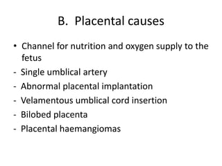 B. Placental causes
• Channel for nutrition and oxygen supply to the
fetus
- Single umblical artery
- Abnormal placental implantation
- Velamentous umblical cord insertion
- Bilobed placenta
- Placental haemangiomas
 