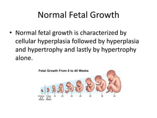Normal Fetal Growth
• Normal fetal growth is characterized by
cellular hyperplasia followed by hyperplasia
and hypertrophy and lastly by hypertrophy
alone.
 