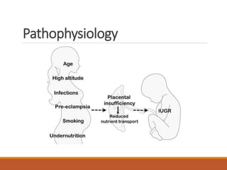 Intrauterine growth restriction Intrauterine growth restriction | PPTX