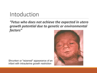 Intoduction
“Fetus who does not achieve the expected in utero
growth potential due to genetic or environmental
factors”
Shrunken or "wizened" appearance of an
infant with intrauterine growth restriction
 