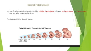 Normal Fetal Growth
Normal fetal growth is characterized by cellular hyperplasia followed by hyperplasia and hypertrophy
and lastly by hypertrophy alone.
Fetal Growth From 8 to 40 Weeks
 