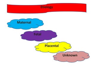 Maternal
Fetal
Placental
Unknown
Etiology
 