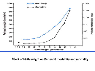 Effect of birth weight on Perinatal morbidity and mortality.
 