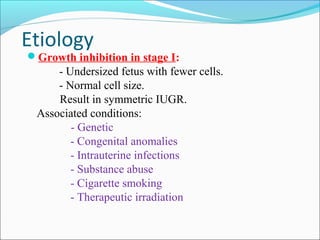 Etiology

Growth inhibition in stage I:

- Undersized fetus with fewer cells.
- Normal cell size.
Result in symmetric IUGR.
Associated conditions:
- Genetic
- Congenital anomalies
- Intrauterine infections
- Substance abuse
- Cigarette smoking
- Therapeutic irradiation

 