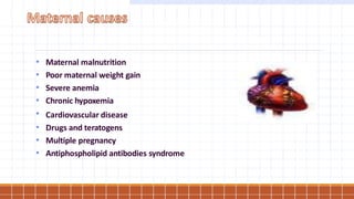 • Maternal malnutrition
• Poor maternal weight gain
• Severe anemia
• Chronic hypoxemia
• Cardiovascular disease
• Drugs and teratogens
• Multiple pregnancy
• Antiphospholipid antibodies syndrome
 