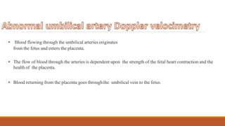 • Blood flowing through the umbilical arteries originates
from the fetus and enters the placenta.
• The flow of blood through the arteries is dependent upon the strength of the fetal heart contraction and the
health of the placenta.
• Blood returning from the placenta goes throughthe umbilical vein to the fetus.
 