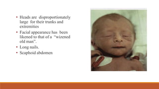 • Heads are disproportionately
large for their trunks and
extremities
• Facial appearance has been
likened to that of a “wizened
old man”.
• Long nails.
• Scaphoid abdomen
 
