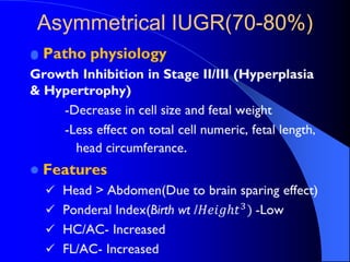 Iugr obs | PPTX
