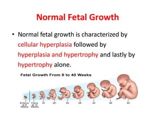 Normal Fetal Growth
• Normal fetal growth is characterized by
cellular hyperplasia followed by
hyperplasia and hypertrophy and lastly by
hypertrophy alone.
 