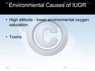 Environmental Causes of IUGR
• High altitude - lower environmental oxygen
saturation
• Toxins

 
